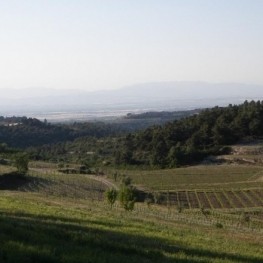 The Solà del Seniol and the Ballart fountain in Vallfogona&#8230;