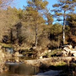 De Navàs a La Font de Gusart