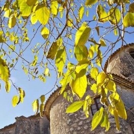 Itinerari Castells de marca