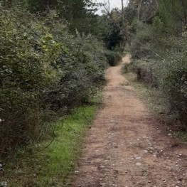 Itinerari de Benestar i Silenci a Sant Celoni