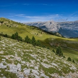 La Gallina Pelada des de la Font Freda (Serra d'Ensija)