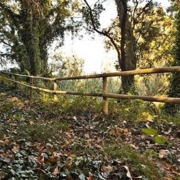 La Sanabra i el fondo de Sant Llorenç