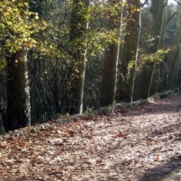 La vallée des Olzinelles à Sant Celoni