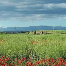 La Vía Verde de Guissona