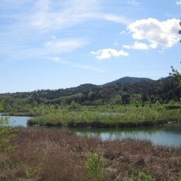 Les Llobateres des de la Batllòria