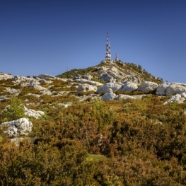 Ascent to Mont Caro from the Caro refuge