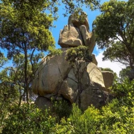 Un viatge a la prehistòria per l'Ardenya-Cadiretes, a Tossa&#8230;