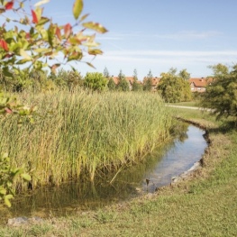 Walk between flowers and irrigation channels in Lleida