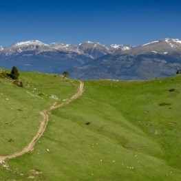 Penyes Altes del Moixeró from Gréixer