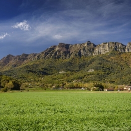 Puigsacalm des de la collada de Bracons