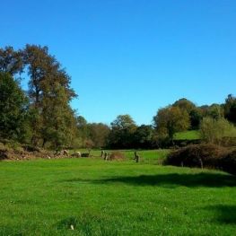 Ruta de las Fuentes y Verlets en Sant Joan les Fonts (accesible)