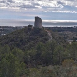 Ruta del Cucurull por el Coll de Repàs en Roda de Berà