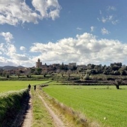 Route au pied des Gavarres à Madremanya