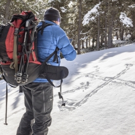 Snowshoe route through Tosa de Alp from Coll de Pal