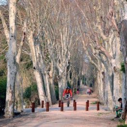 Ruta Boca de la Mina en Reus