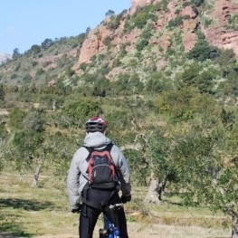 Route cyclable pétrolière à Mont-roig del Camp