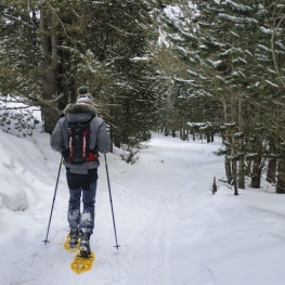 Ruta circular amb raquetes de neu pel Pedró dels Quatre Batlles,&#8230;