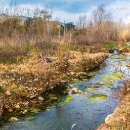 Ruta de las fuentes en Sant Gregori