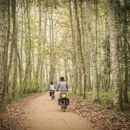 Route du Carrilet d&#39;Olot à Gérone