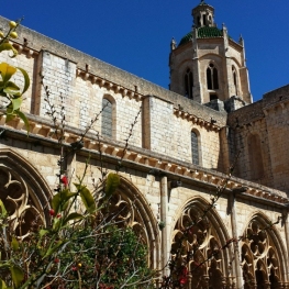 Cistercian Route: Culture, fauna and flora around Santes Creus