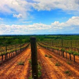 Ruta por los Planos de la Segarra