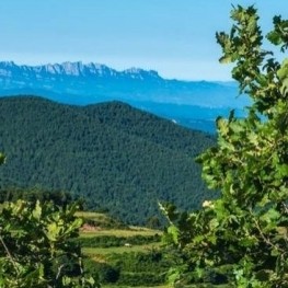 Ruta el dominio de la tierra en L&#39;Estany