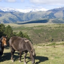 Itinéraire entre la vallée de Camprodon et l&#39;Alt Vallespir