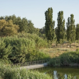 Ornithological route of the orchard