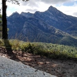 Passeig del Metge a Vilada