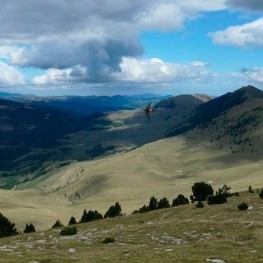 Route through the neighborhoods of Pardines under the shadow&#8230;