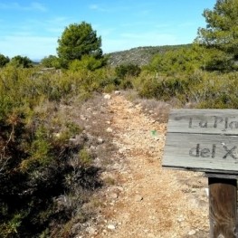 Route through the Plana de Xim in Roda de Berá