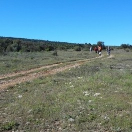 Paseo por la Sierra de Ancosa en La Llacuna