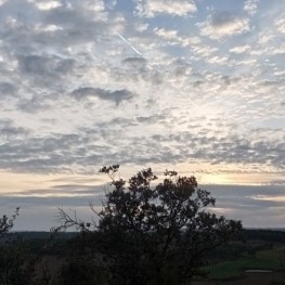 Un paseo por los llanos de Montmajor en el Baix Berguedà