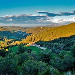 Une promenade à travers l&#39;Clariana ombragée