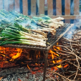 Un viaje al universo de los calçots