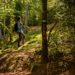 Ruta circular por el Catllaràs desde Sant Romà de la Clusa